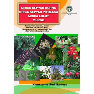 Mrica kepyar, Mrica kepyar pitolaka, Mrica lolot, Mulwo