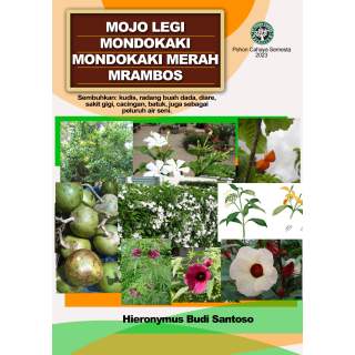 Mojo legi, Mondokaki, Mondokaki merah, Mrambos
