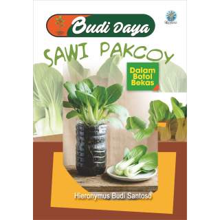 Budidaya sawi pakcoy dalam botol bekas