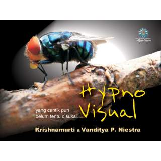 Hypno Visual (Soft Cover)