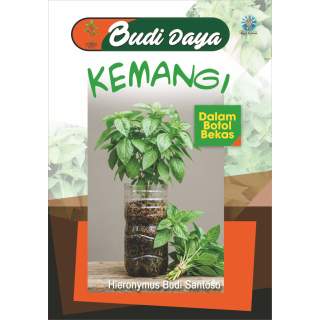 Budidaya kemangi dalam botol bekas